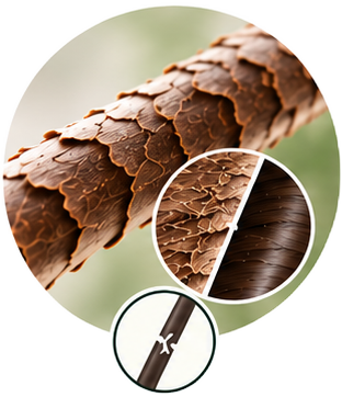 Damaged & Treated Hair