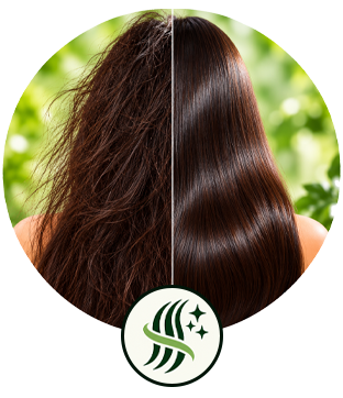 Frizz Control Serum