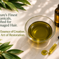 HairRestore Repair